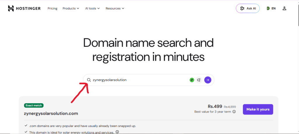 Hero section: domain name search and registration in minutes with a search field showing 'zynergysolarsolution' and action buttons nearby.